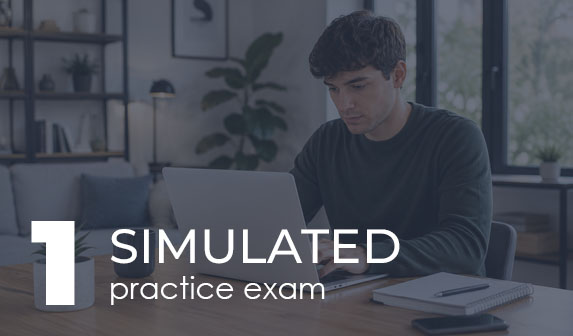 Simulation 1